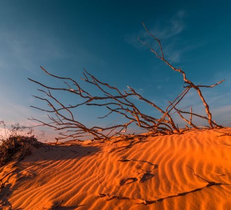 stunning-view-of-lonely-sand-dunes-PEHMLXP.jpg
